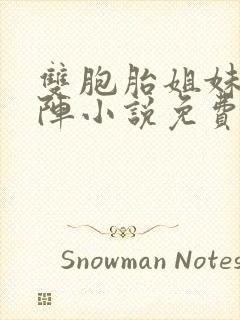 双胞胎姐妹齐上阵小说免费阅读