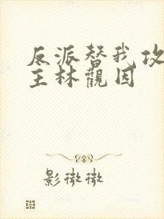 反派替我攻略男主林观因