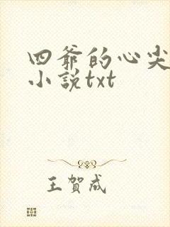 四爷的心尖宠妃小说txt