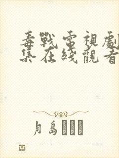 毒战电视剧43集在线观看封面