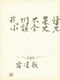 我们不是情敌吗小说全文免费阅读