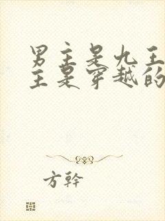 男主是九王爷女主是穿越的文