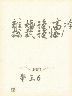 离婚后,高冷女总裁后悔/