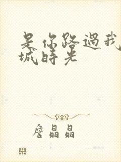 是你路过我的倾城时光