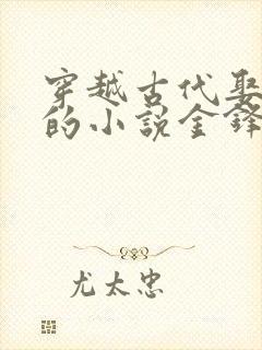 穿越古代娶媳妇的小说金锋