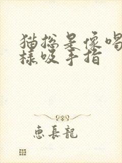 猫总是像喝奶一样吸手指