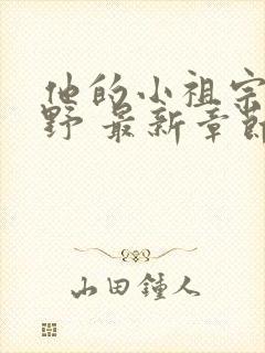 他的小祖宗甜又野 最新章节封面