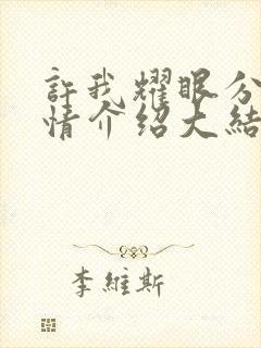 许我耀眼分集剧情介绍大结局