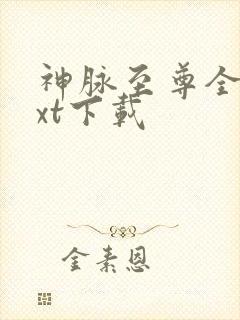 神脉至尊全文txt下载