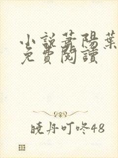 小说萧阳叶云舒免费阅读