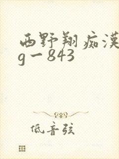 西野翔痴汉gvg一843