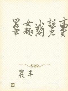 男女小说高干文笔趣阁免费阅读