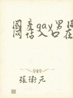 国产gay男同网站入口在线观看