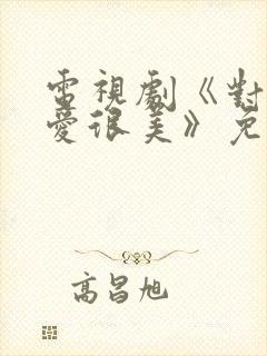 电视剧《对你的爱很美》免费观看