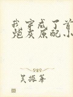 我穿成了首辅的炮灰原配小说