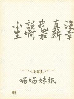 小说我真没想重生啊最新章节