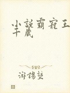 小说霸宠王爷千千岁