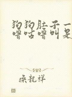 狗狗肚子一直咕噜咕噜叫是怎么了 还吐