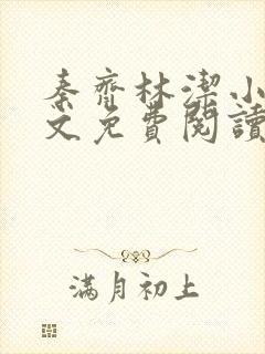 秦齐林洁小说全文免费阅读最新章节封面