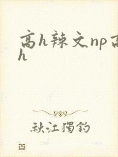 高h辣文np高h封面