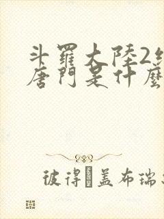 斗罗大陆2绝世唐门是什么时候出的