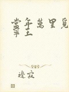 当年万里觅封侯宁王封面