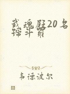 武魂殿20名封号斗罗封面
