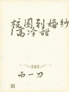 校园到婚纱1V1高冷甜