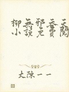 柳无邪吞天神鼎小说免费阅读