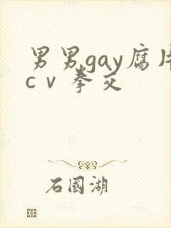 男男gay腐片cⅴ拳交