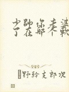 少帅你老婆又跑了在哪个软件可以免费听封面