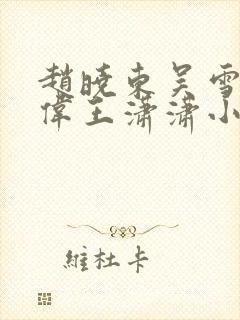 赵晓东吴雪晴郑伟王潇潇小说名字