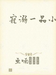 宠溺一品小狂妻封面