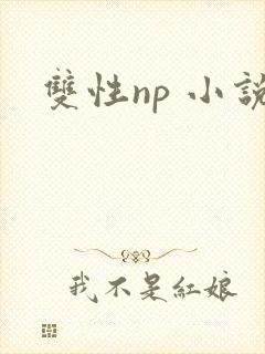 双性np 小说