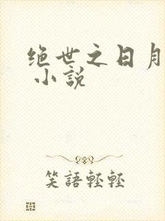 绝世之日月雨浩 小说