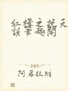 红楼之挽天倾小说笔趣阁封面