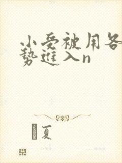 小受被用各种姿势进入n封面