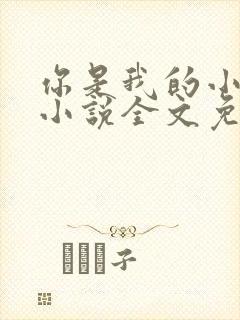 你是我的小可爱小说全文免费阅读