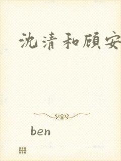 沈清和顾安封面