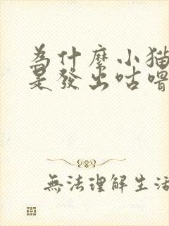 为什么小猫咪总是发出咕噜咕噜的声音