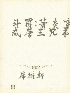 斗罗:萧炎穿越成唐三兄弟封面