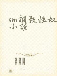 sm调教性奴隶小说