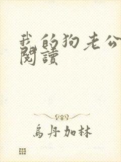 我的狗老公在线阅读