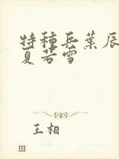 特种兵叶辰孙怡夏若雪封面