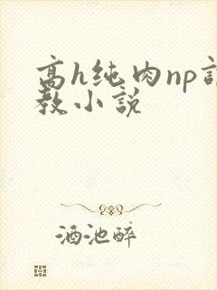 高h纯肉np调教小说封面