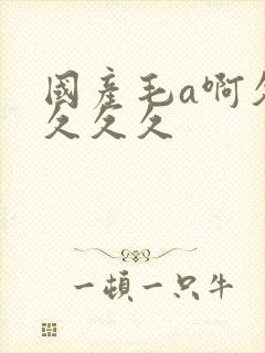 国产毛a啊久久久久久