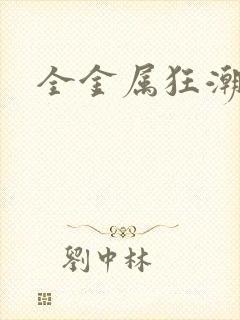 全金属狂潮小说封面