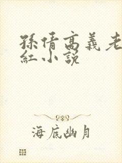 孙倩高义老七美红小说