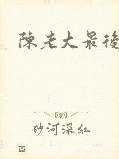 陈老大最后结局封面
