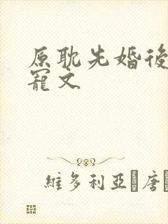 原耽先婚后爱甜宠文